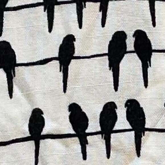 Jane & Delancey Birds on a Wire Long Sleeve Roll Tab Button Down Tunic, 1X - Picture 5 of 10